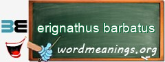 WordMeaning blackboard for erignathus barbatus
